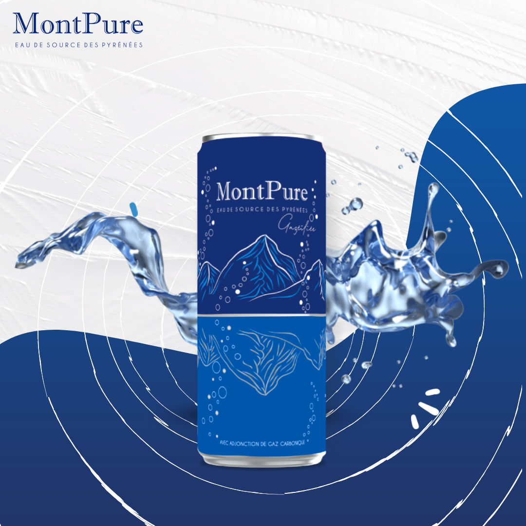 CANETTE MONT PURE ALU 330ML x24